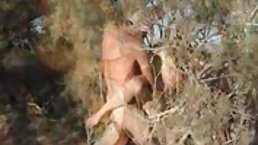 Har denne sløv det største tits webcam?